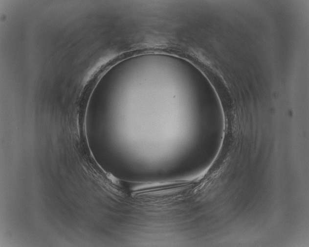 X0000074931214200609081317