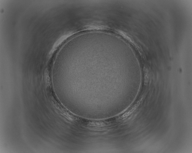 X0000074931215200609081317