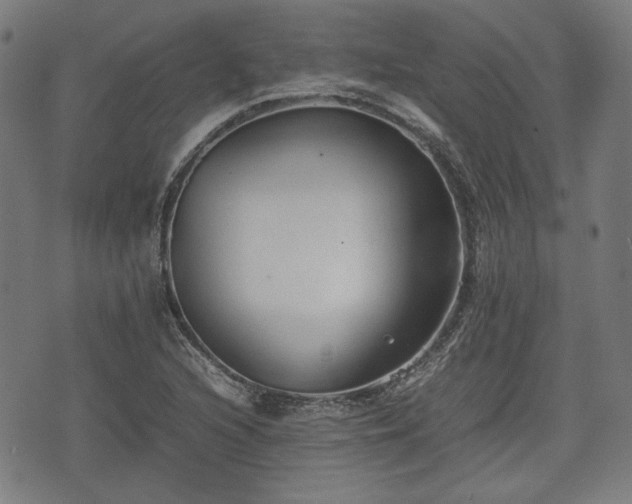 X0000074931216200609081317