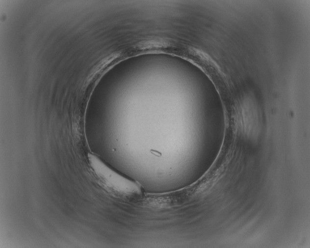 X0000074931217200609081317