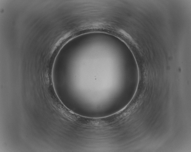 X0000074931218200609081317