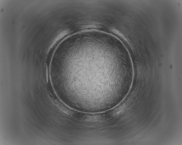 X0000074931219200609081317