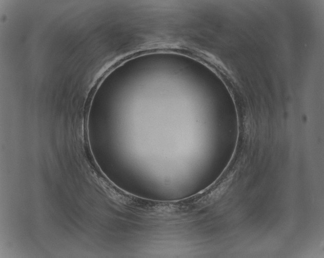 X0000074931220200609081317