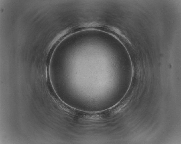 X0000074931221200609081317