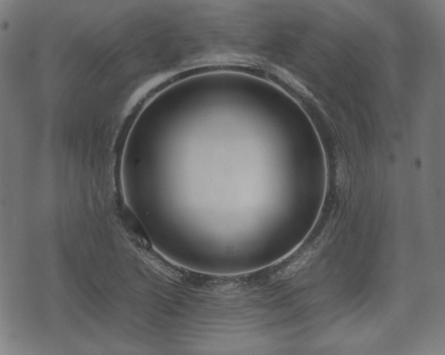 X0000074931222200609081317