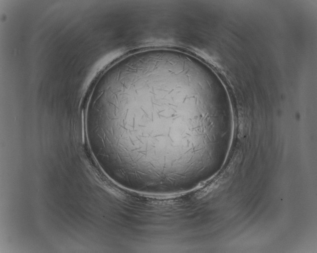 X0000074931223200609081317