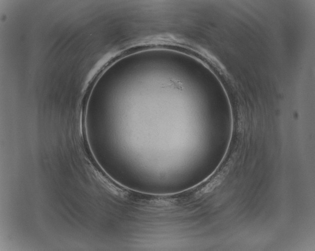 X0000074931224200609081317