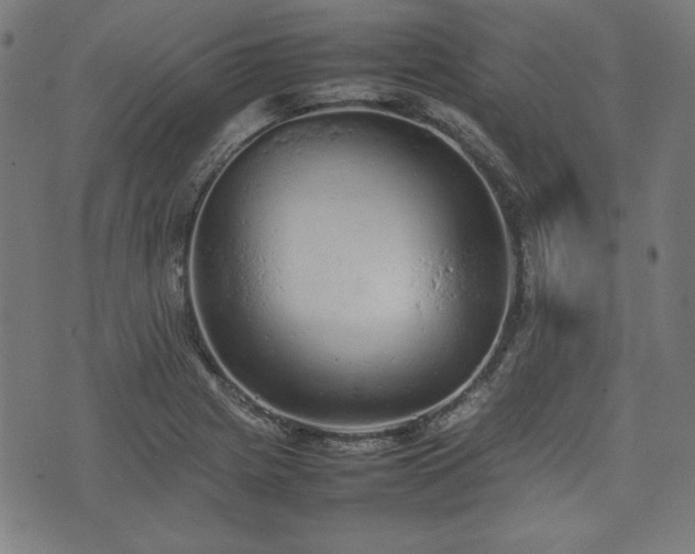 X0000074931225200609081317