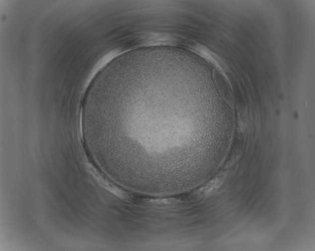 X0000074931227200609081317