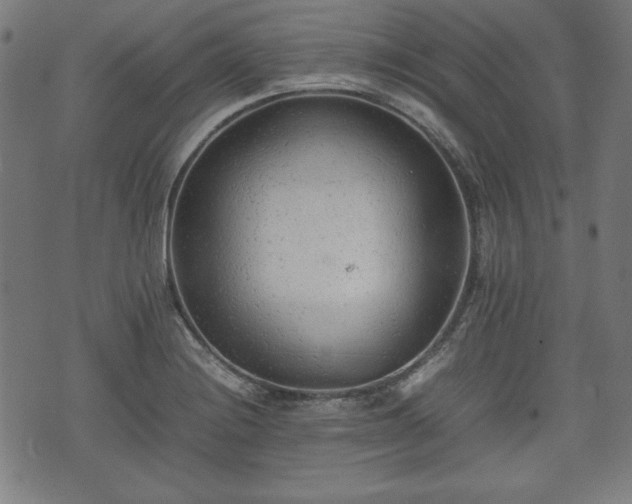 X0000074931228200609081317