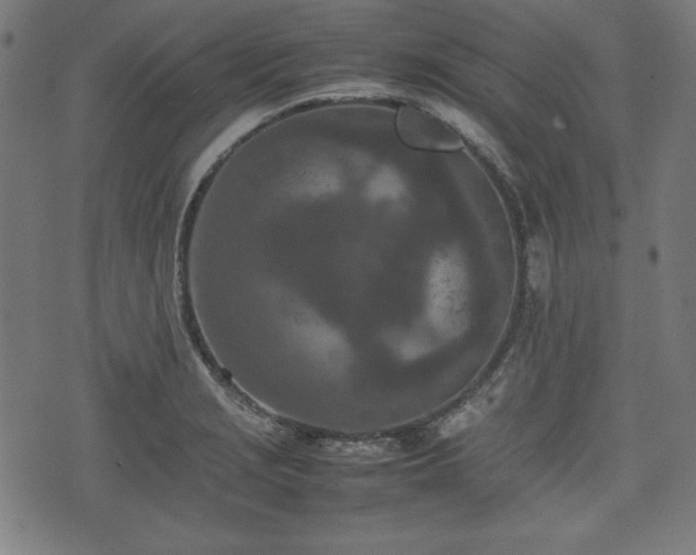 X0000074931229200609081317