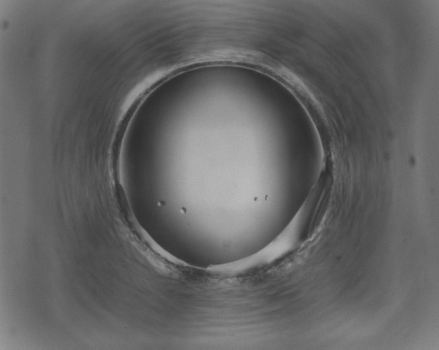 X0000074931230200609081317