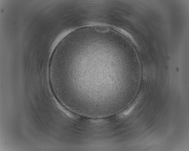 X0000074931231200609081317