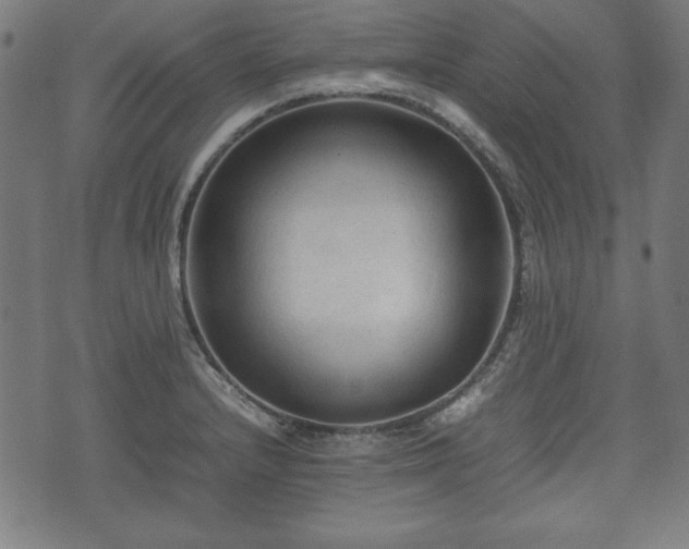 X0000074931232200609081317