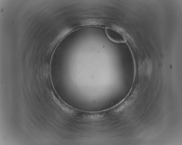 X0000074931233200609081317