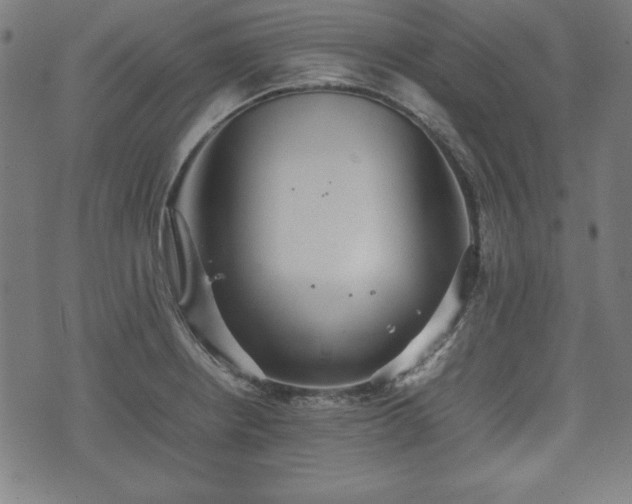 X0000074931234200609081317