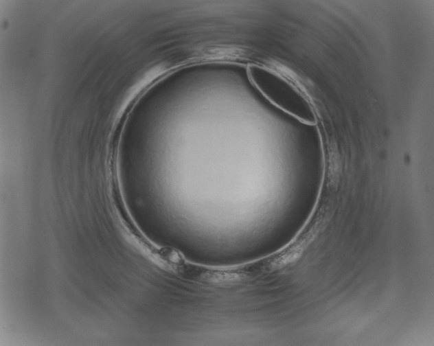 X0000074931235200609081317