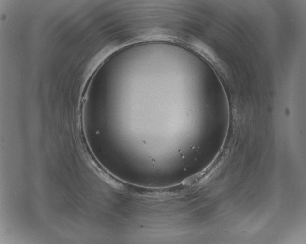 X0000074931236200609081317