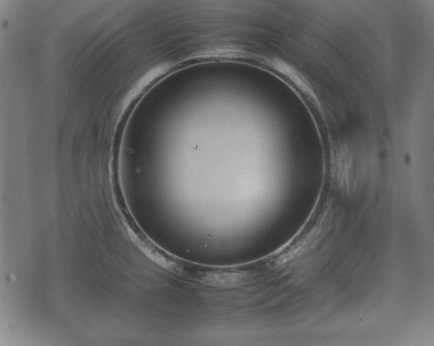 X0000074931237200609081318