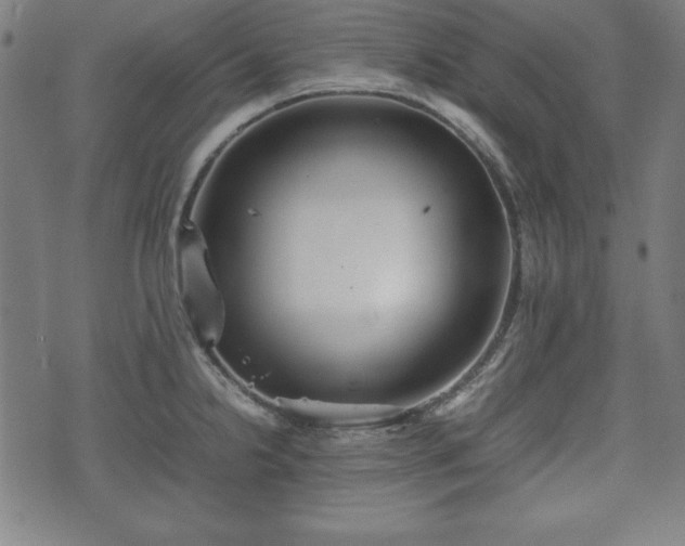 X0000074931238200609081318