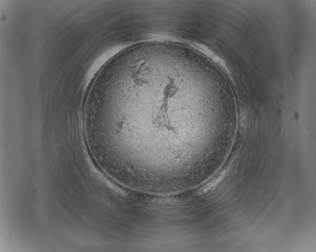 X0000074931239200609081318