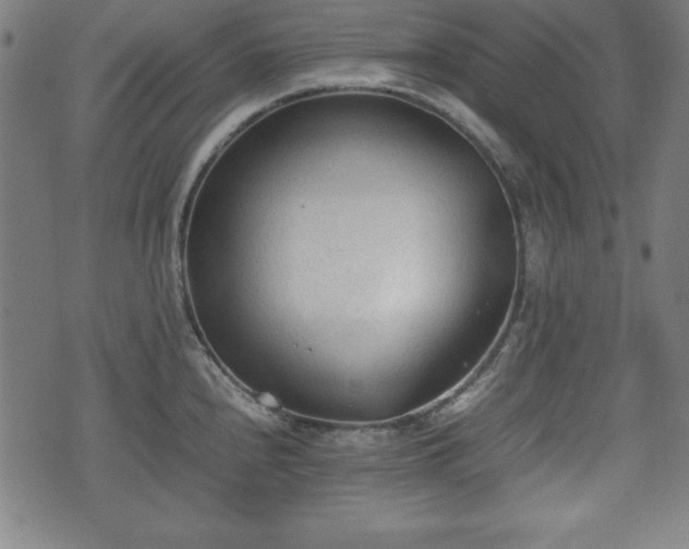 X0000074931240200609081318