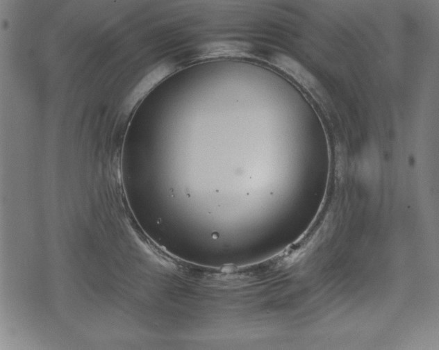 X0000074931241200609081318