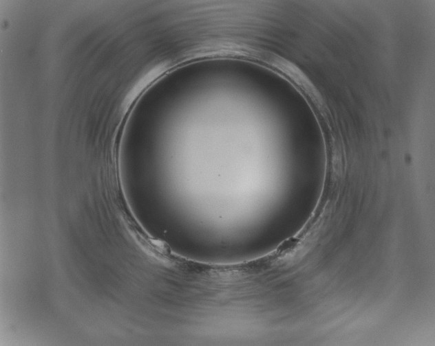 X0000074931242200609081318