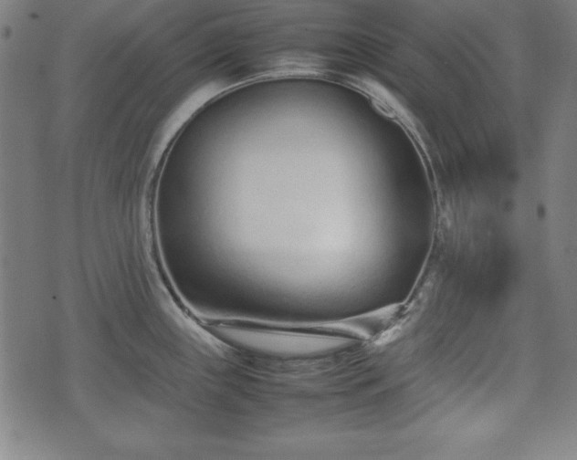 X0000074931243200609081318