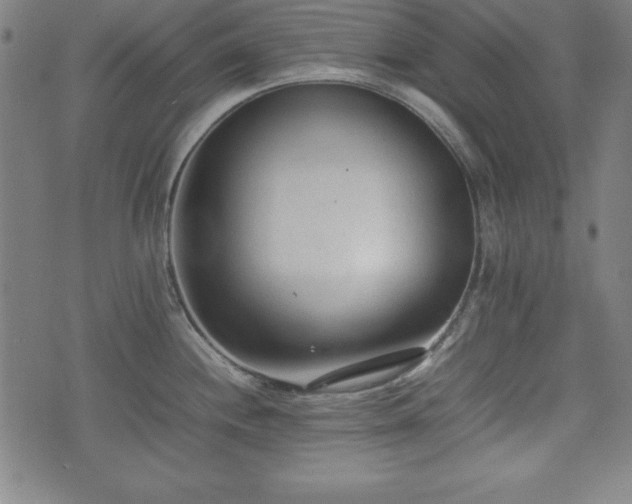 X0000074931244200609081318