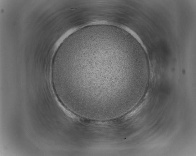 X0000074931245200609081318