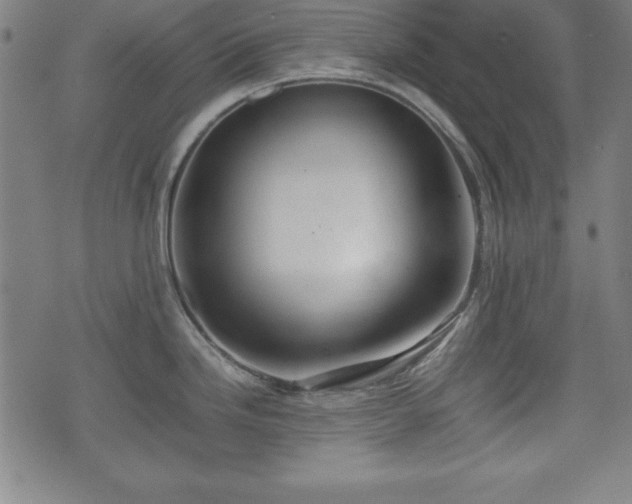 X0000074931246200609081318