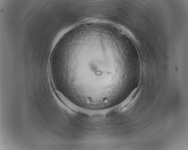 X0000074931247200609081318