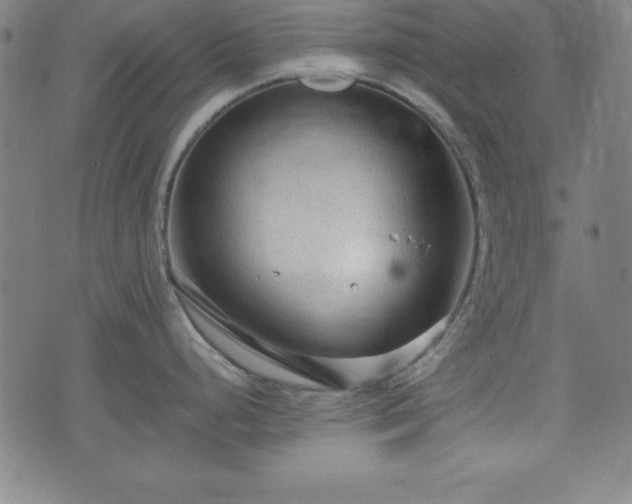 X0000074931248200609081318