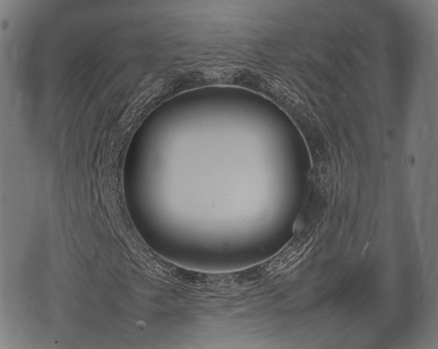 X0000074931249200609081317