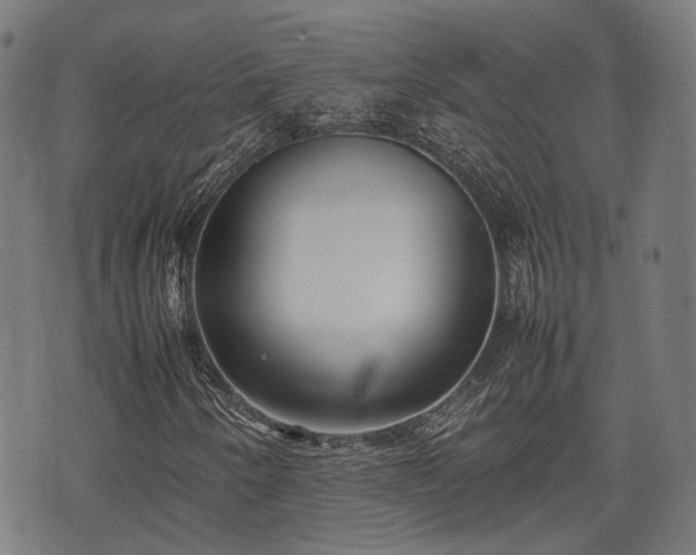 X0000074931250200609081317