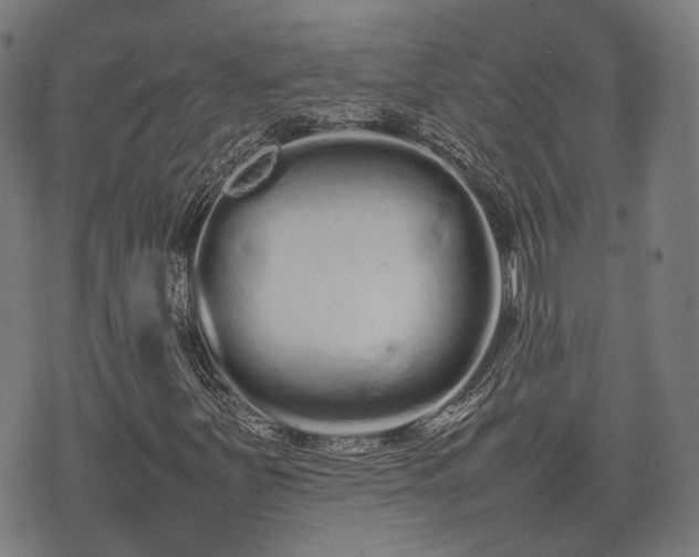 X0000074931251200609081317