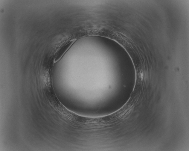 X0000074931252200609081317