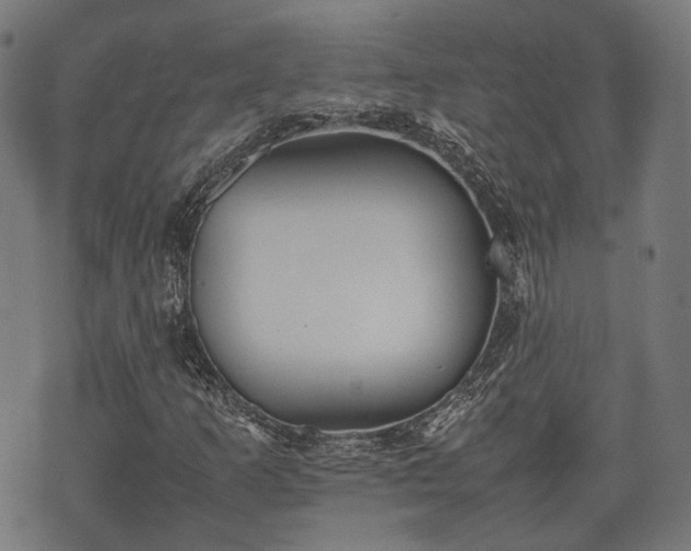 X0000074931253200609081317