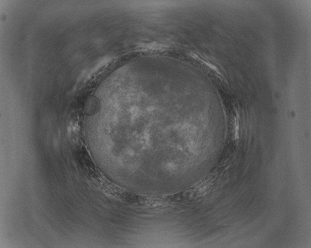 X0000074931254200609081317