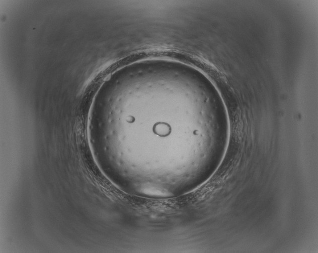 X0000074931255200609081317