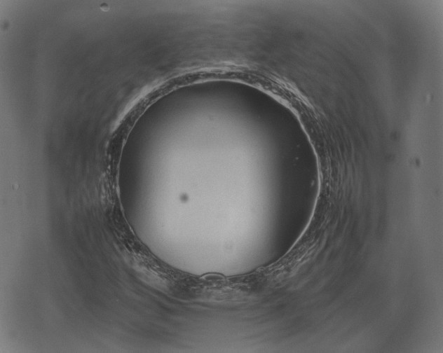 X0000074931256200609081317