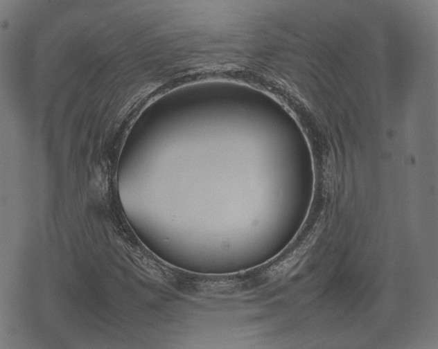 X0000074931257200609081317