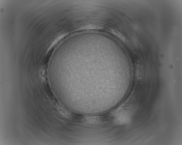 X0000074931258200609081317