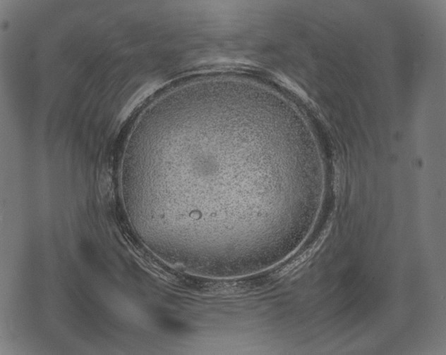 X0000074931259200609081317