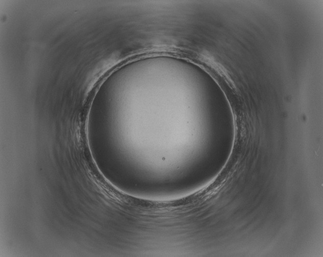 X0000074931260200609081317