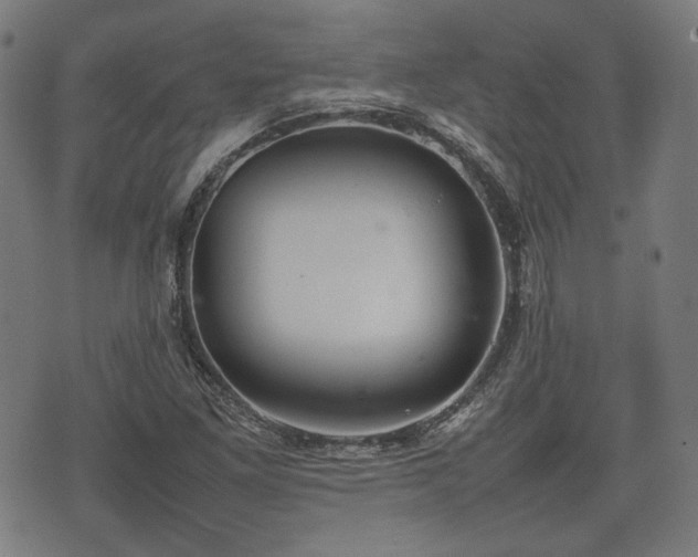 X0000074931261200609081317