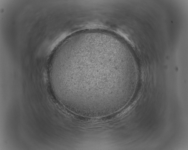 X0000074931263200609081317