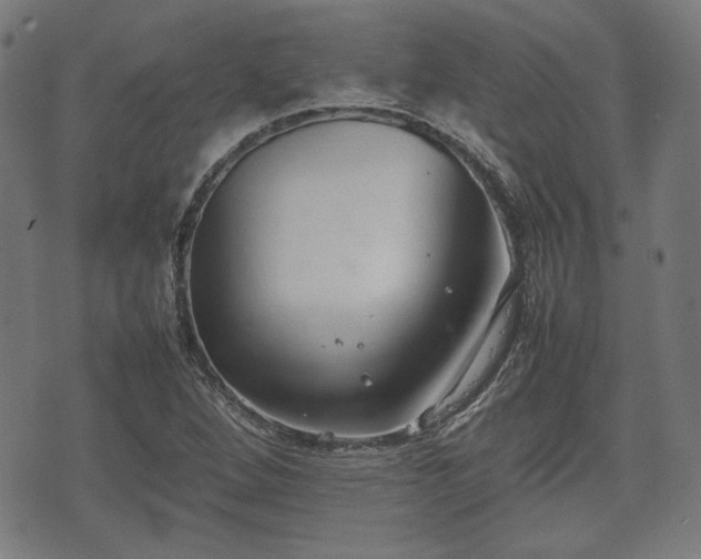 X0000074931264200609081317