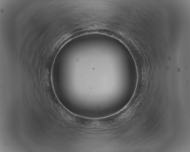 X0000074931265200609081317